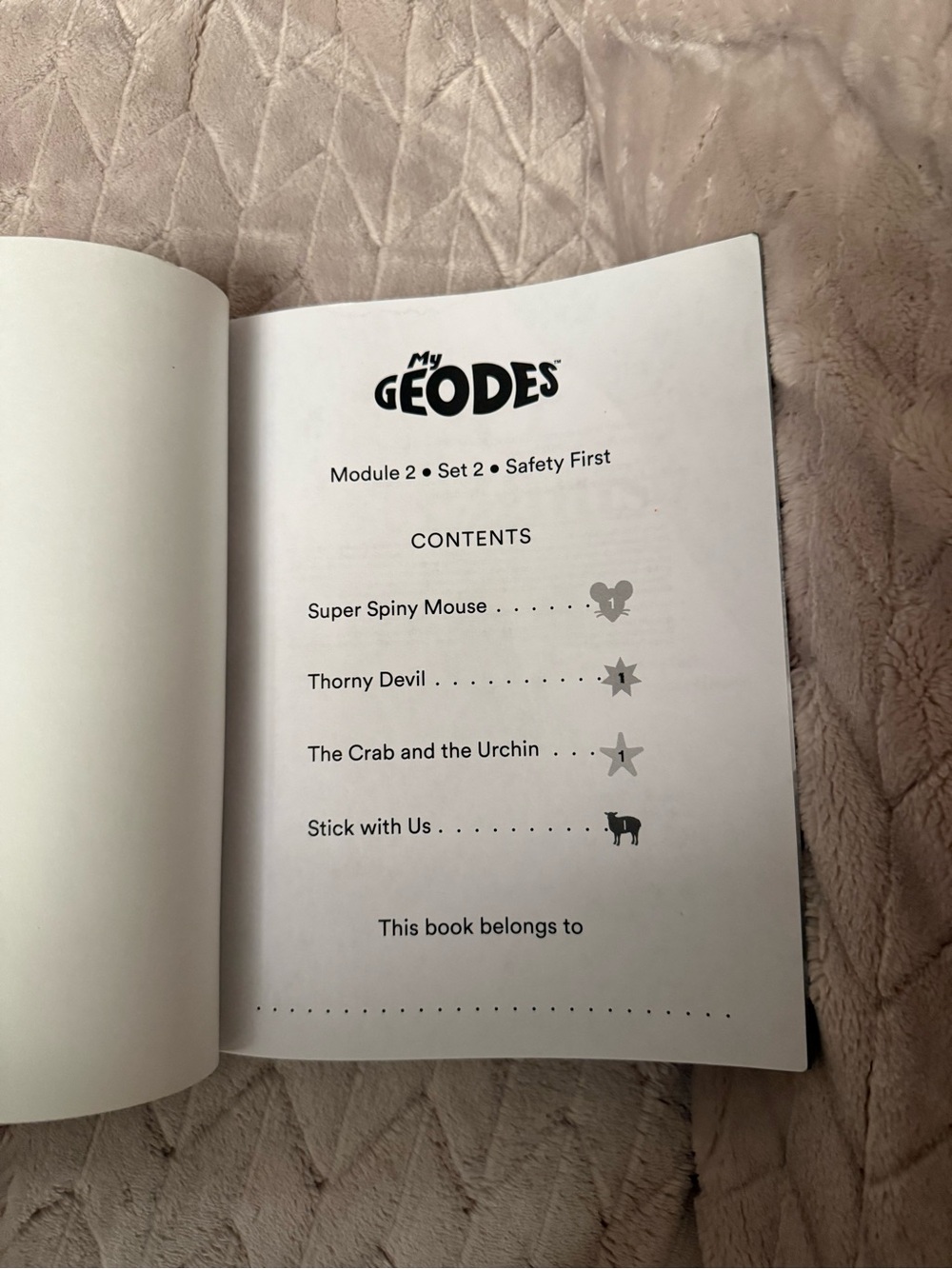 Children’s Geodes Module 2 Learning Book - Picture 3 of 6